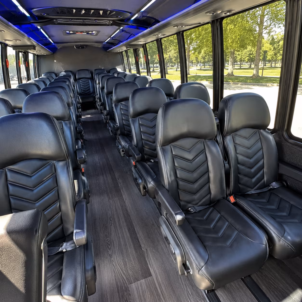 olympia bus rentals
